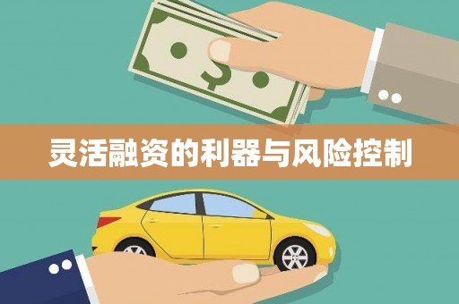 彭山灵活融资的利器与风险控制