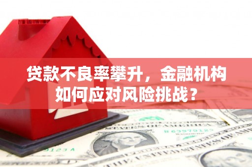 彭山贷款不良率攀升，金融机构如何应对风险挑战？