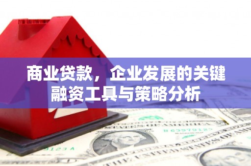 彭山商业贷款，企业发展的关键融资工具与策略分析