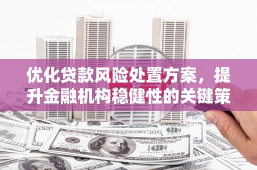 彭山优化贷款风险处置方案，提升金融机构稳健性的关键策略
