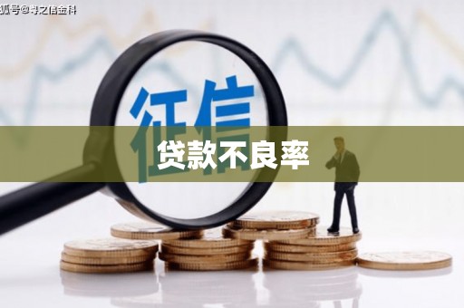彭山贷款不良率