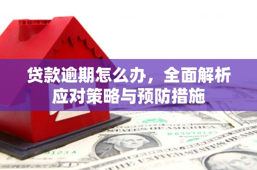 彭山贷款逾期怎么办，全面解析应对策略与预防措施
