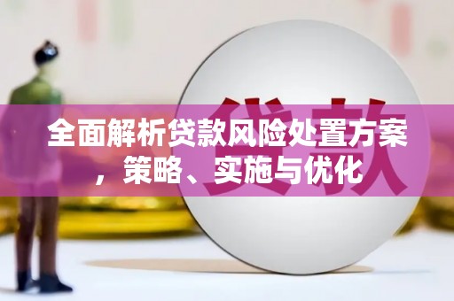 彭山全面解析贷款风险处置方案，策略、实施与优化