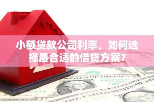 彭山小额贷款公司利率，如何选择最合适的借贷方案？