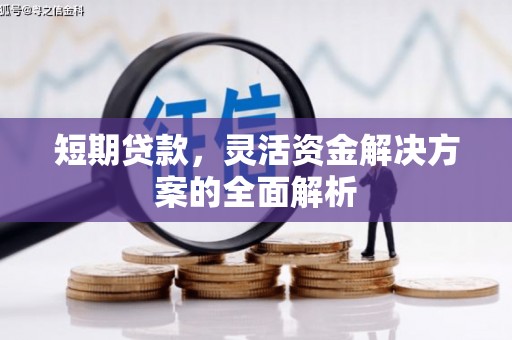 彭山短期贷款，灵活资金解决方案的全面解析