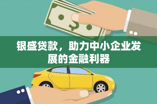 彭山银盛贷款，助力中小企业发展的金融利器