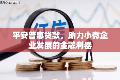 彭山平安普惠贷款，助力小微企业发展的金融利器