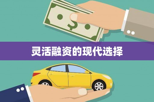 彭山灵活融资的现代选择