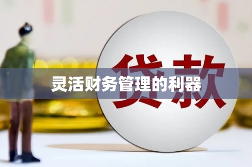 彭山灵活财务管理的利器